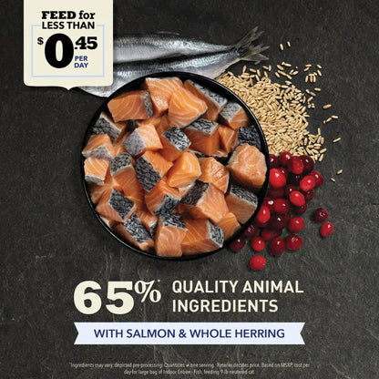 ACANA Senior Entree Chicken & Turkey Dry Cat Food Pet Food Experts