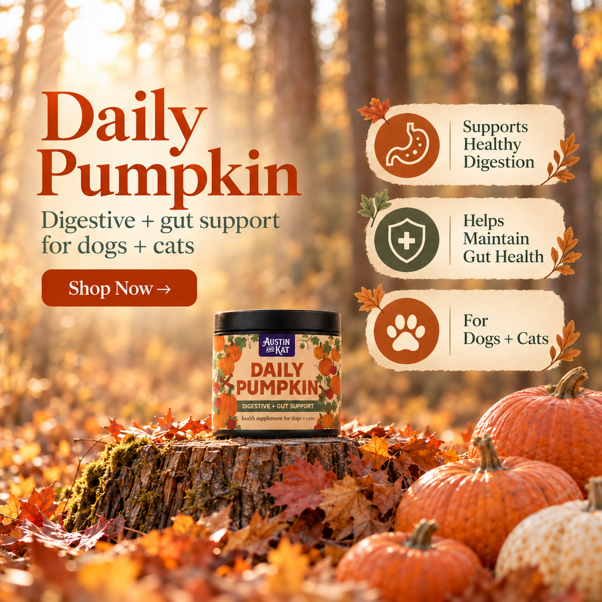 Austin and Kat Daily Pumpkin Digestive Support Powder - 100 g Austin and Kat