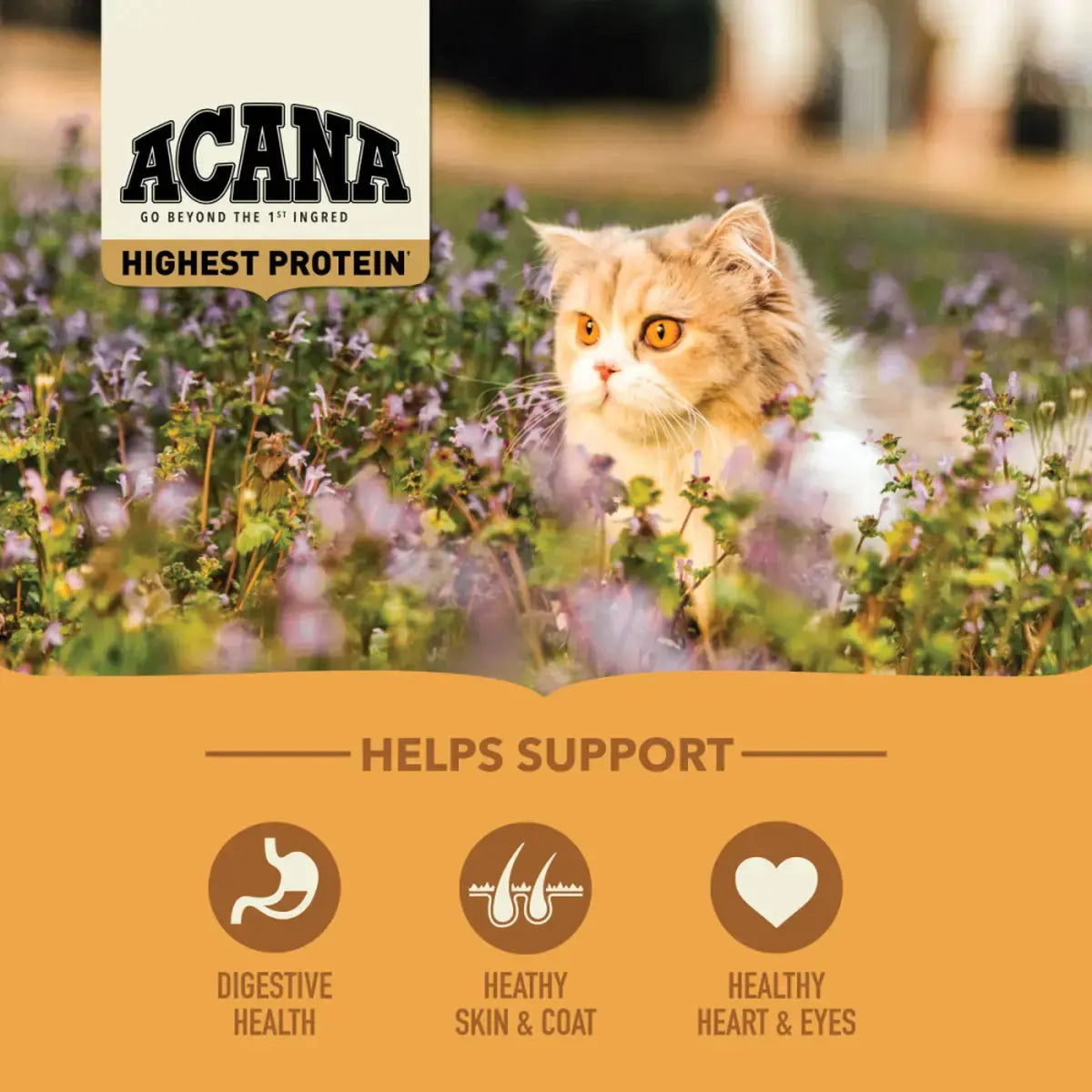 ACANA Meadowlands Chicken Turkey Fish & Cage-Free Eggs Grain-Free Dry Cat Food Pet Food Experts
