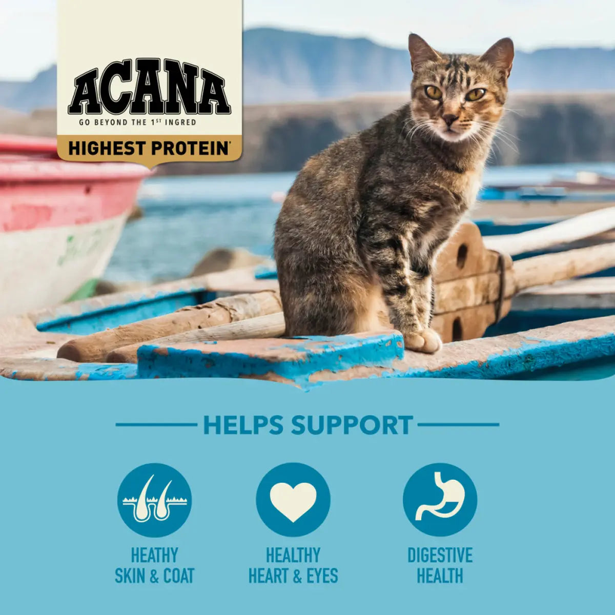 ACANA Wild Atlantic Saltwater Fish with Freeze-Dried Liver Grain-Free Dry Cat Food Pet Food Experts