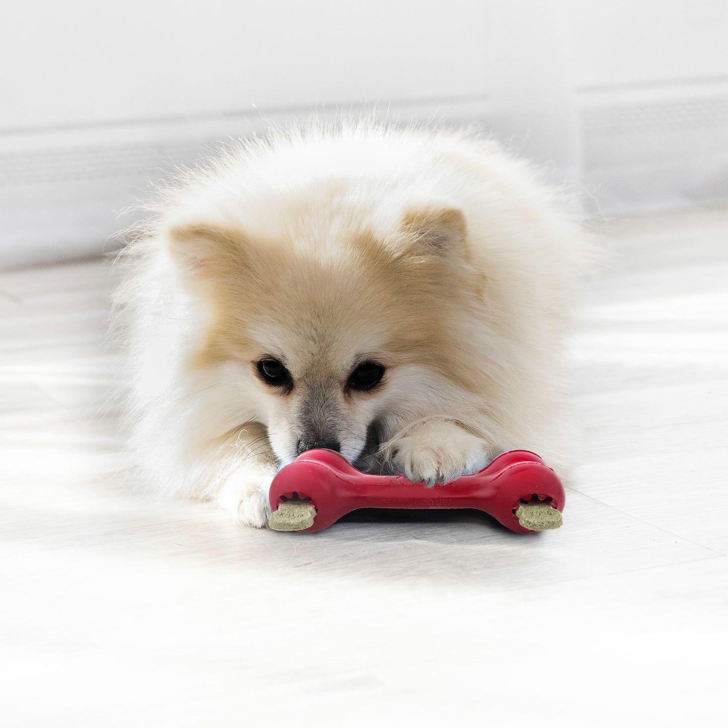 Kong Goodie Bone Medium