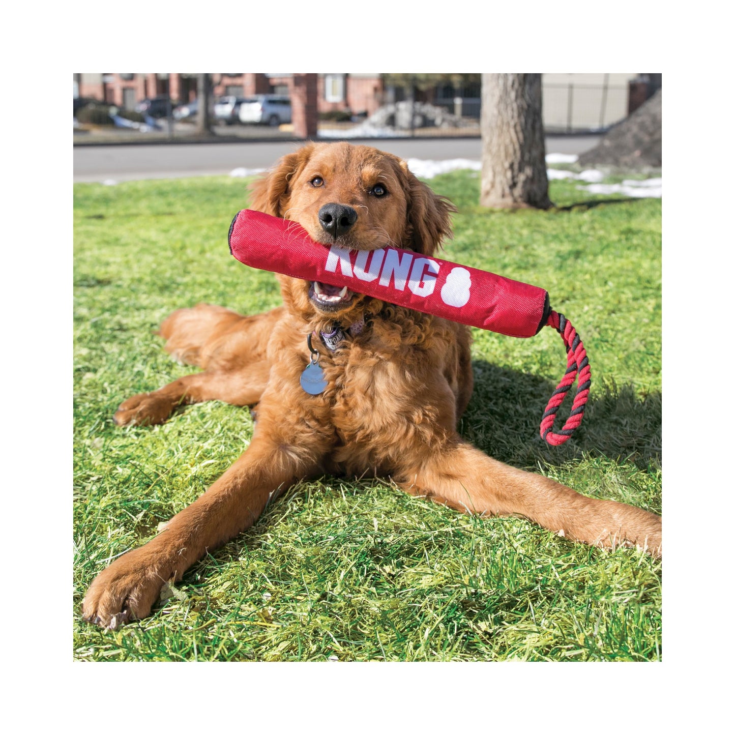 Kong Signature Squeak Stick w/Rope Med.
