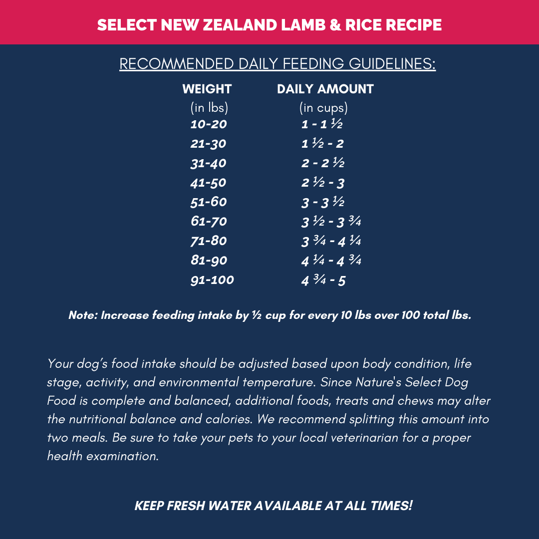 Adopter Special New Zealand Lamb & Rice Recipe