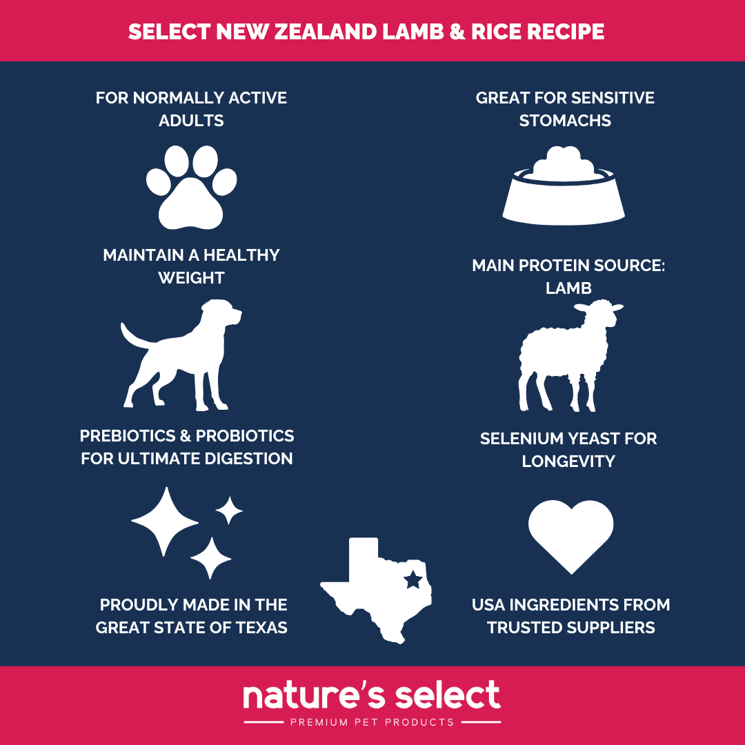 Adopter Special New Zealand Lamb & Rice Recipe