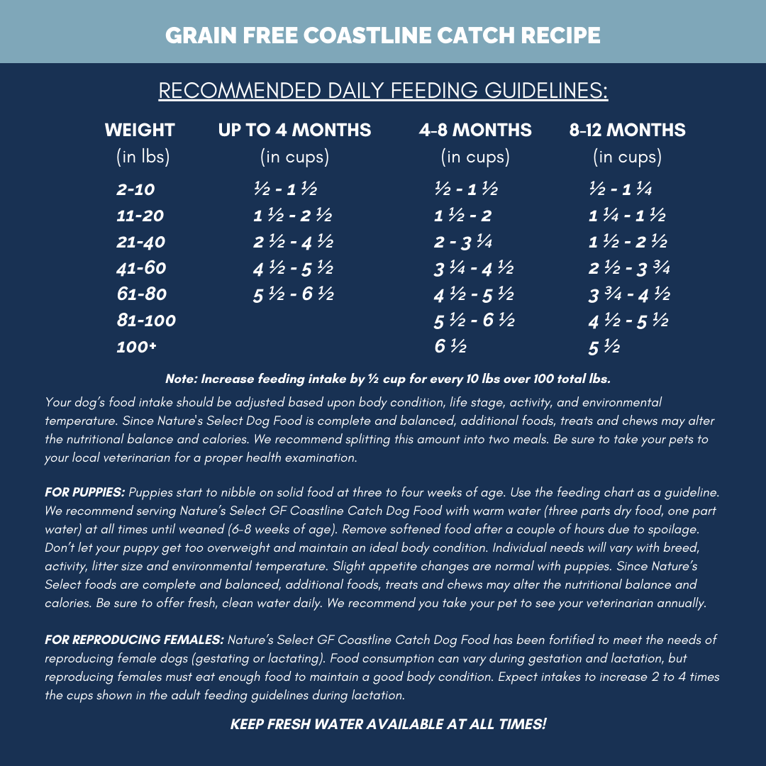 Nature's Select Coastline Catch Recipe - Grain Free Fish, Dry Dog Food for Adults Nature's Select US