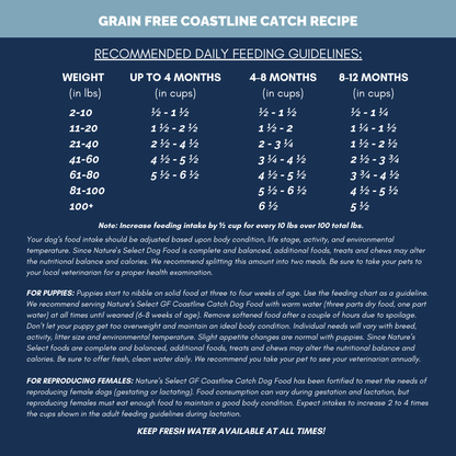 Nature's Select Coastline Catch Recipe - Grain Free Fish, Dry Dog Food for Adults Nature's Select US