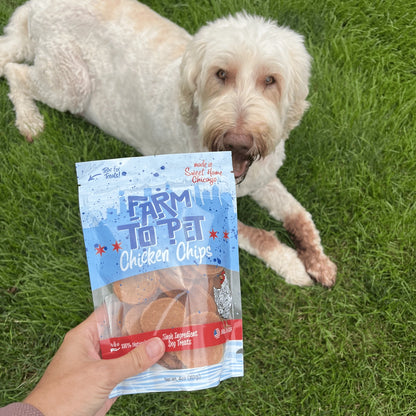 Chicago Chicken Chips Dog Treats