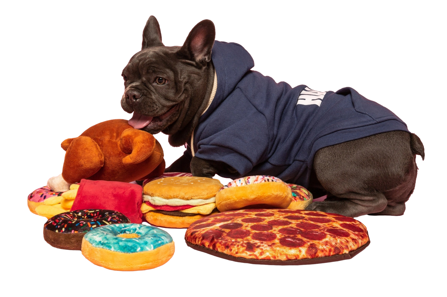 10" Pizza Squeaky Dog Toy