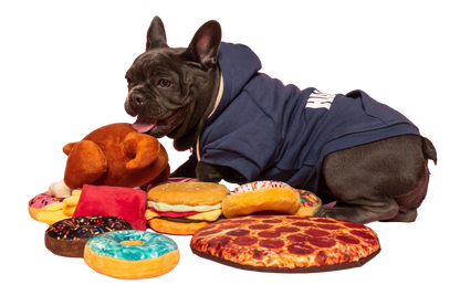 10" Pizza Squeaky Dog Toy