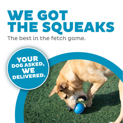 Orbee-Tuff Snoop Squeak Fetch Ball