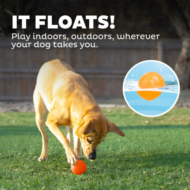 Orbee-Tuff Snoop Squeak Fetch Ball
