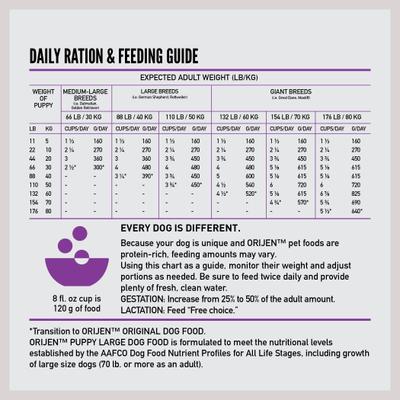 ORIJEN Puppy Large Grain-Free High-Protein Dry Dog Food, 23.5-lb bag slide 10 of 14