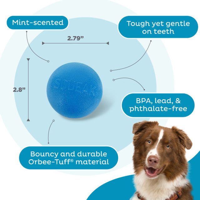 Orbee-Tuff Snoop Squeak Fetch Ball