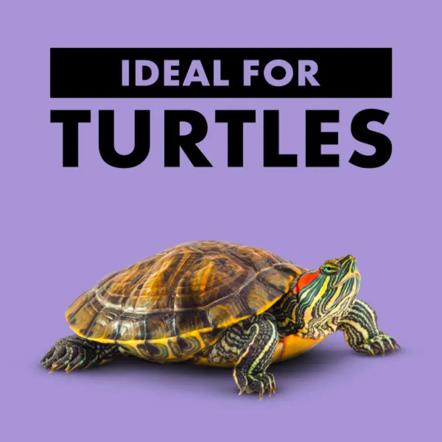 Zilla Basking Platform Ramps Corner 1ea/SMall Zilla