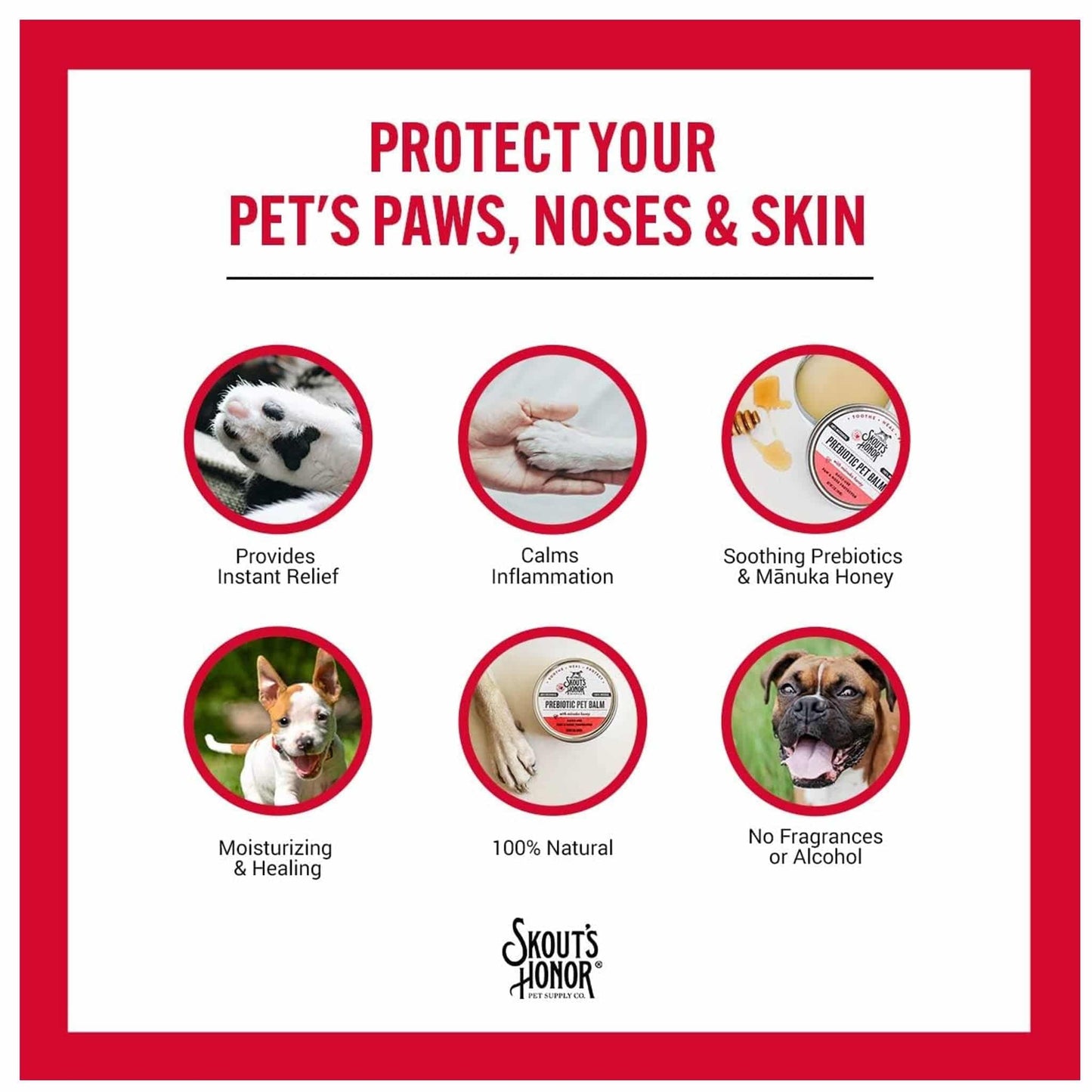 Prebiotic Pet Balm (Dog & Cat) - Skout's Honor