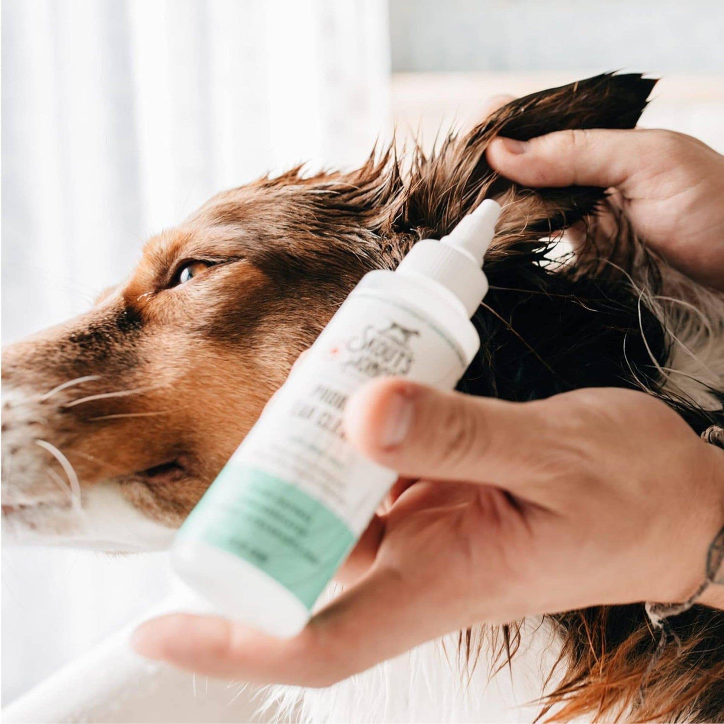 Probiotic Ear Cleaner - Skout's Honor