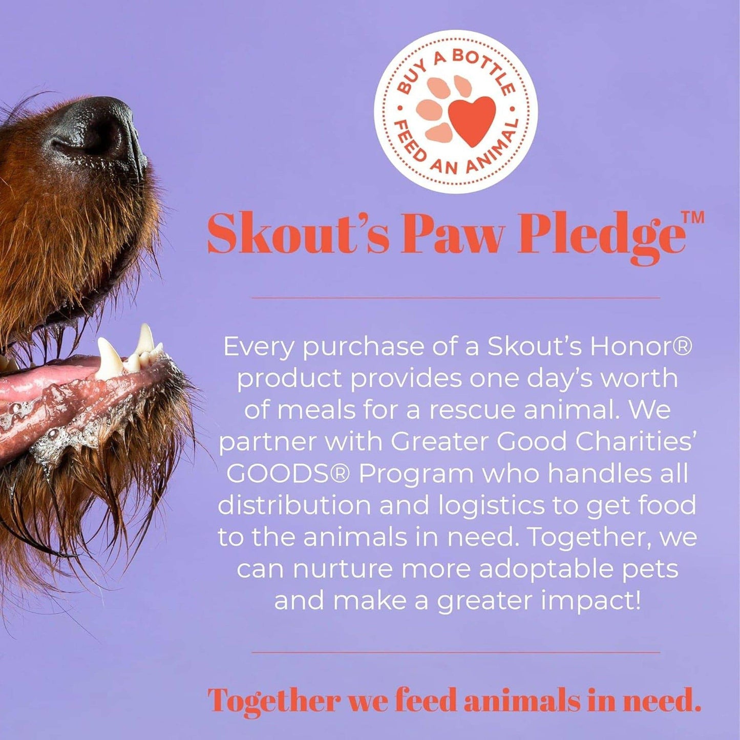 Probiotic Hot Spot Hydrogel - Skout's Honor