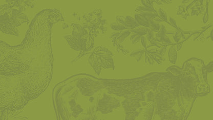 ACANA Free Run Poultry Grain-Free Dry Dog Food