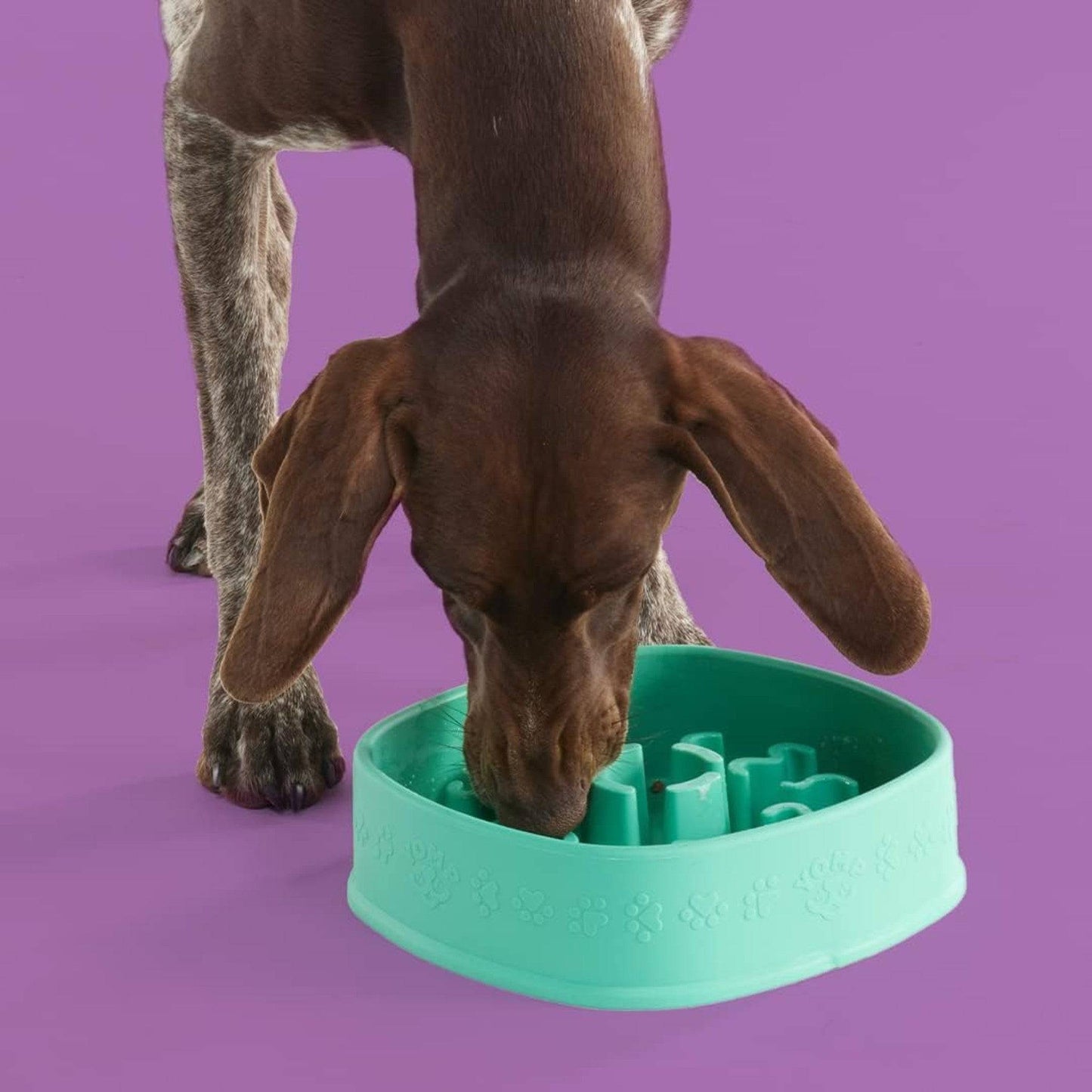Yomp FunFeeder