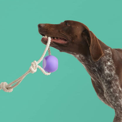 Yomp BallRope