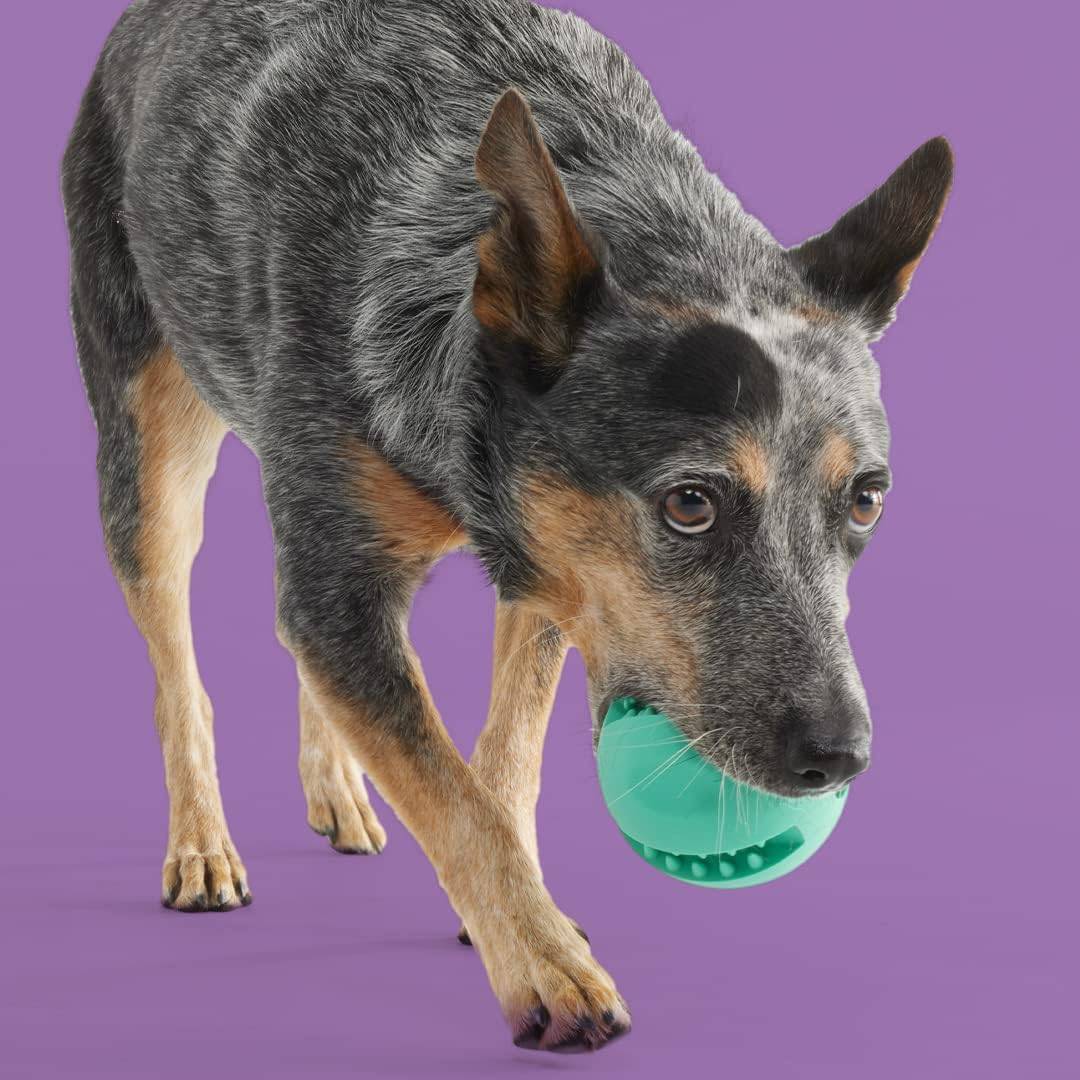 Yomp Snackin' Ball