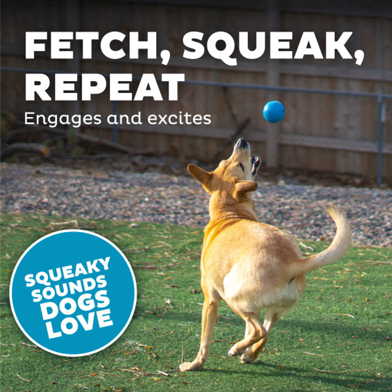 Orbee-Tuff Snoop Squeak Fetch Ball