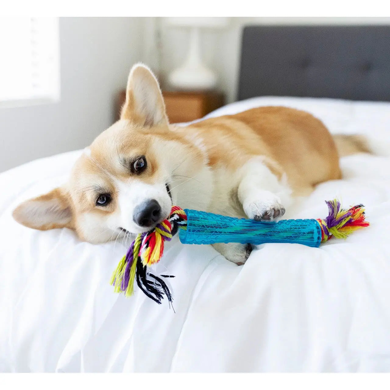 Petstages Orka Dog Toys Nature's Select Midwest