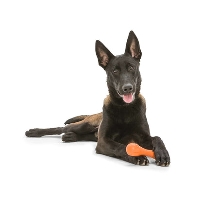 Hurley Chew Toy