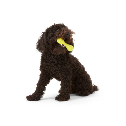 Hurley Chew Toy