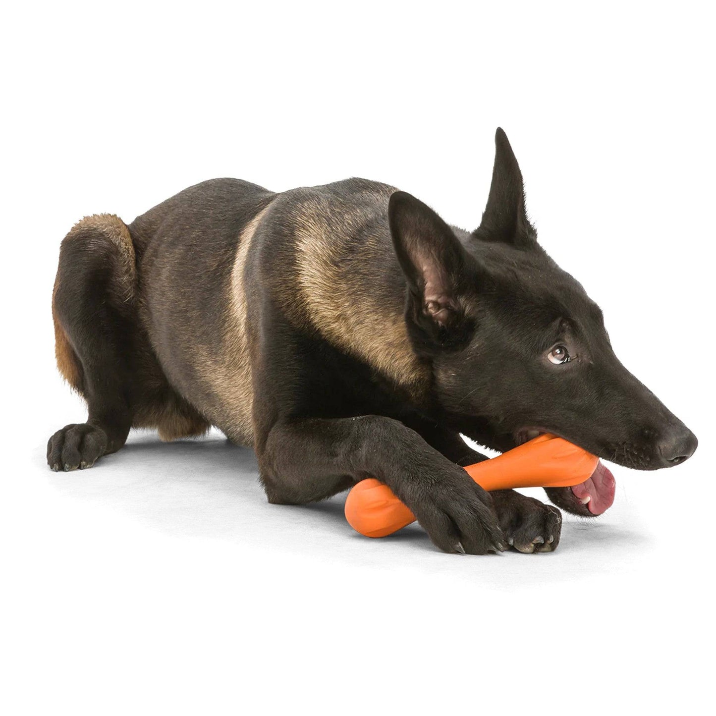 Hurley Chew Toy