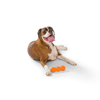 West Paw Rumpus Chew Toy